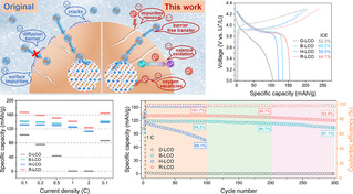 PP电子游戏网站李犁教授团队在冶金顶刊...